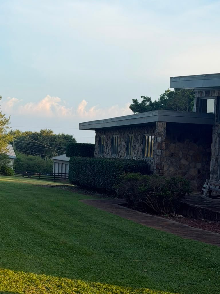 Freshly cut grass around an outdoor property area